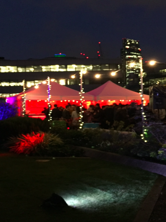 Party Doctors Reach New Heights Overview