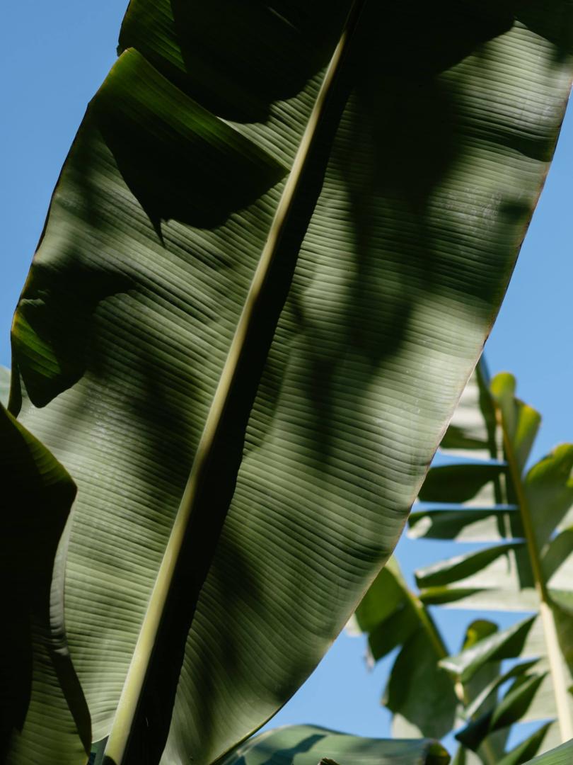 Event Planning Photo