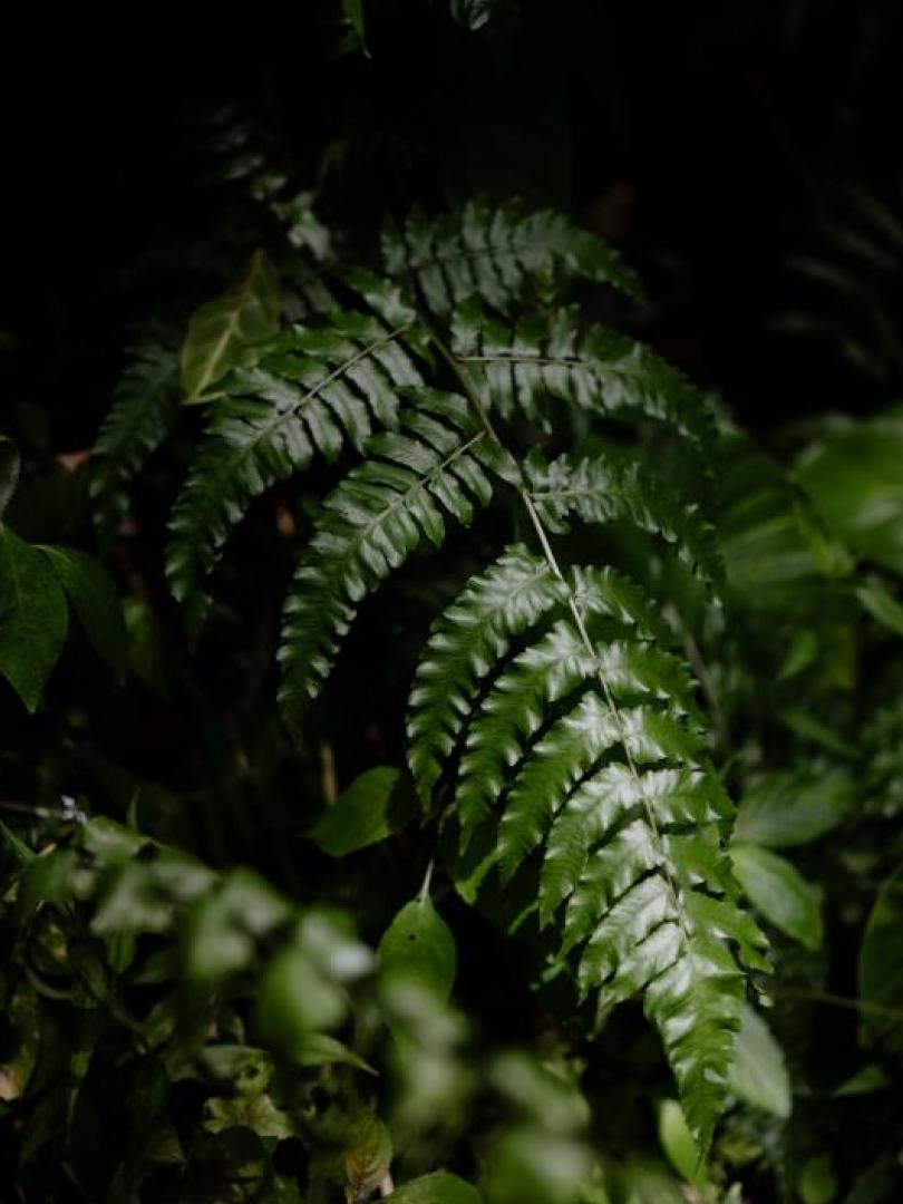 Event Planning Photo