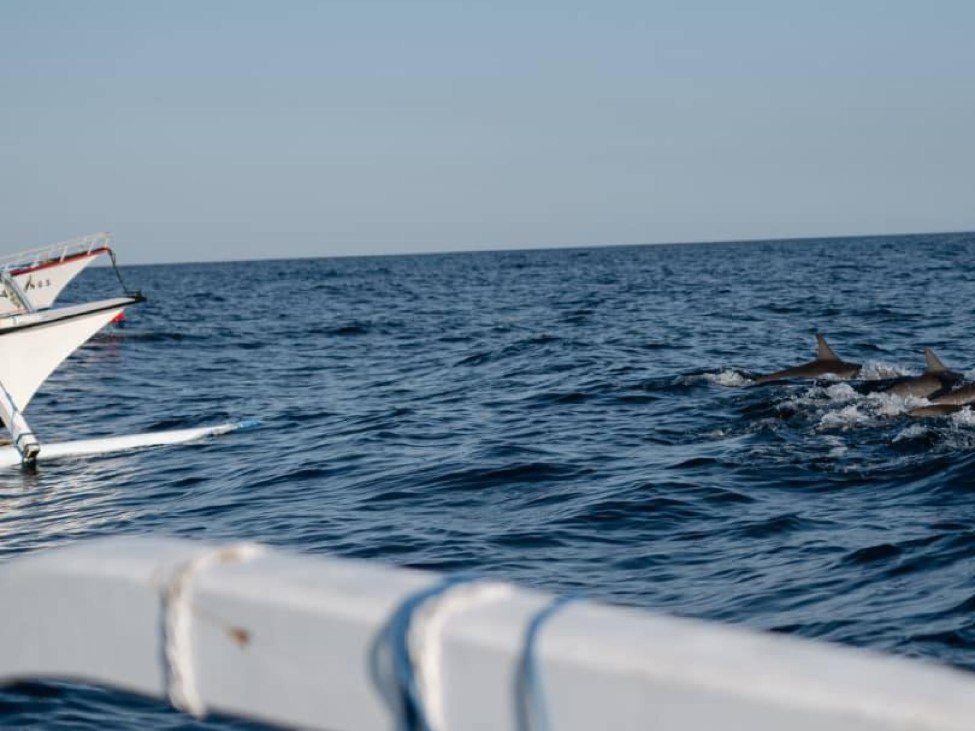 Case Study 1 Background