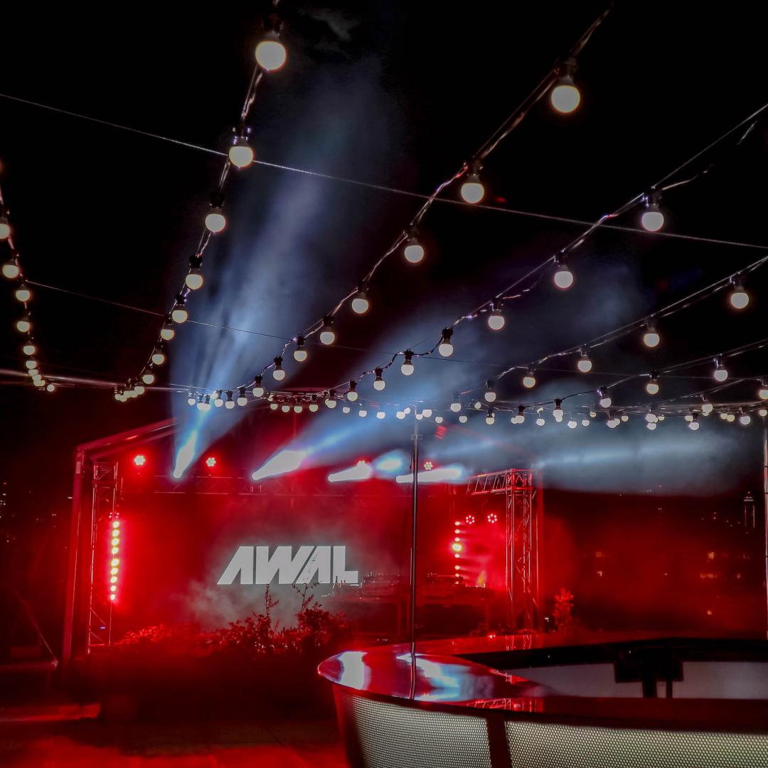 AWAL Kobalt Socials Photo