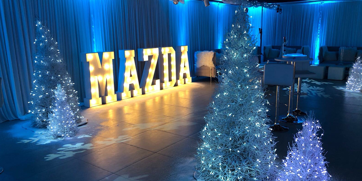 Hall Decoration Hire