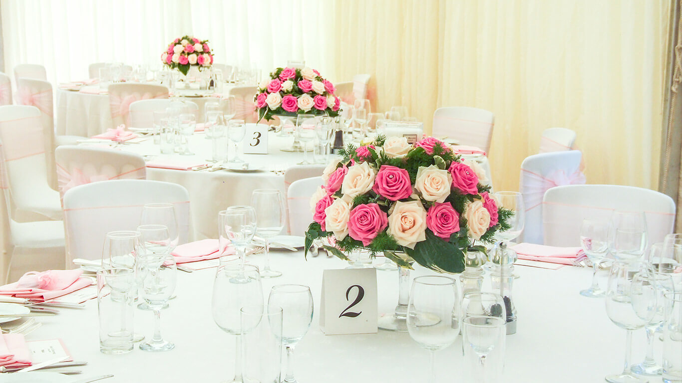 Party Planner Background